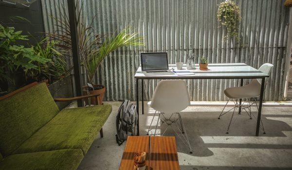 Office space with plants