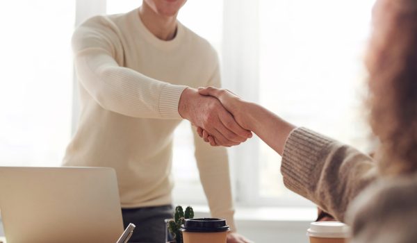 Job interview with handshake