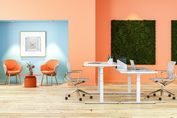 Colourful open plan office layout
